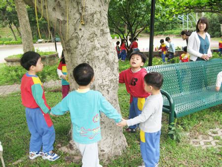 樹可以做什麼|在公園,與樹相遇